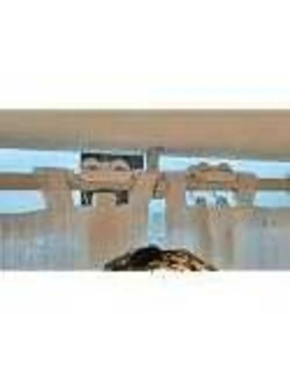 SwitchBot Automatic Curtain Opener Rod with Bluetooth, WiFi & App Control